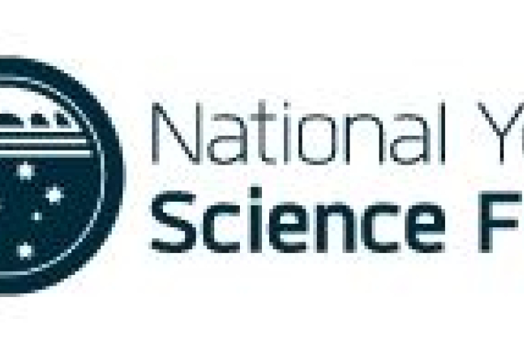 NYSF logo2