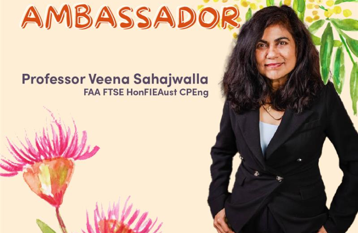 Narrabri Aus Day image