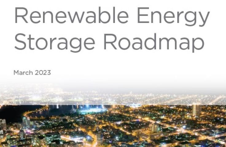 Renewables Roadmap image