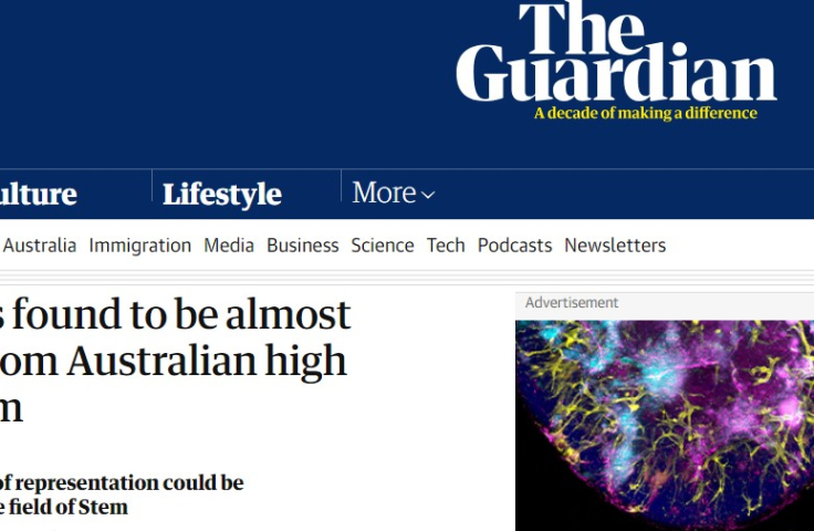 The guardian story image