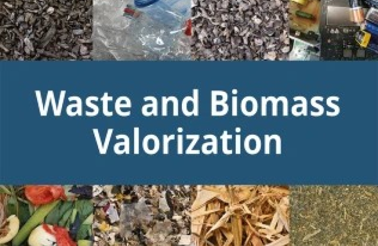 biomass and waste journal image